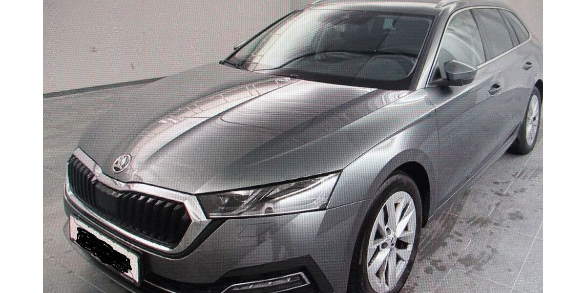 Skoda Octavia 177.300 km 19.599 &euro; Fulda 36039