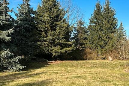 Einfamilienhaus mit großem Grundstück in Süptitz 5 zimmer