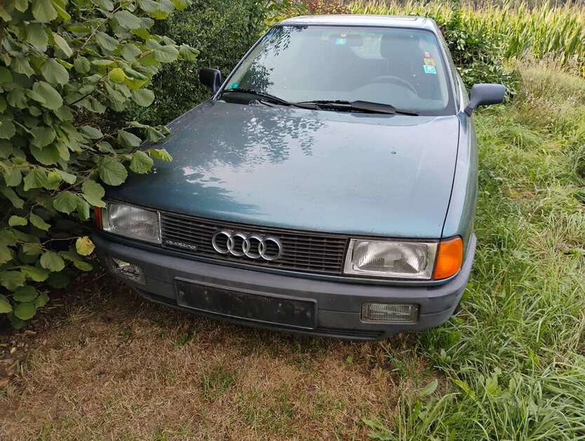 80