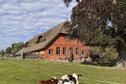 Haus zum Kaufen in Menzendorf 990.000 € 375 m² 12 zimmer