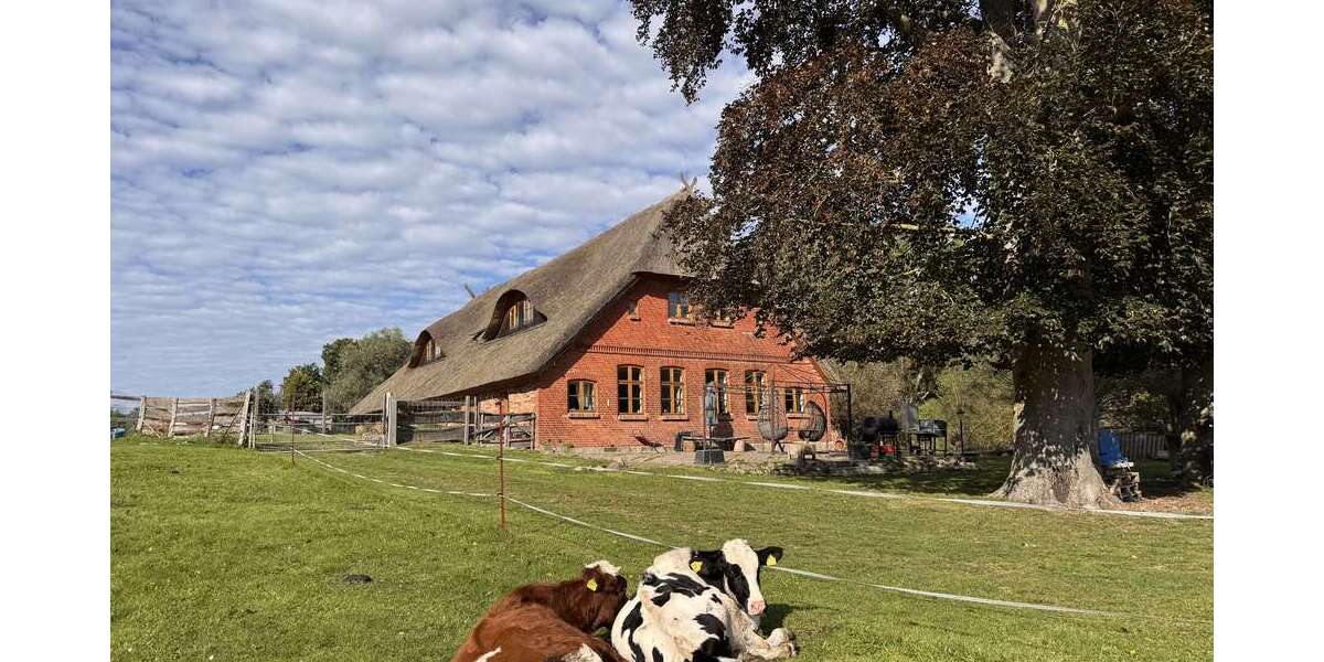 Haus zum Kaufen in Menzendorf 990.000 € 375 m² 12 zimmer