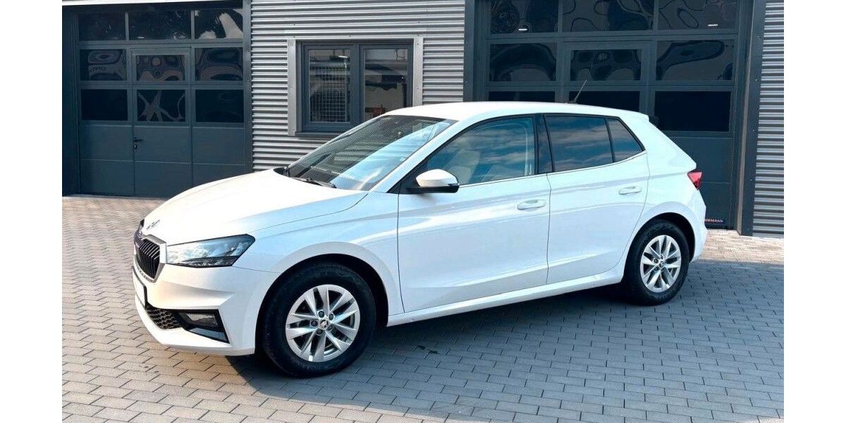 Skoda Fabia 25.438 km 16.900 &euro; Birgel 54587