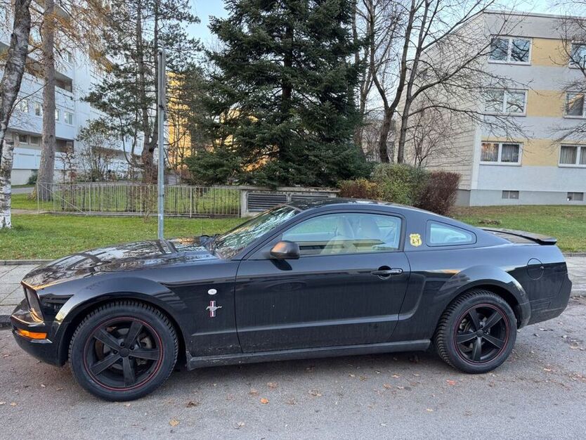 Mustang