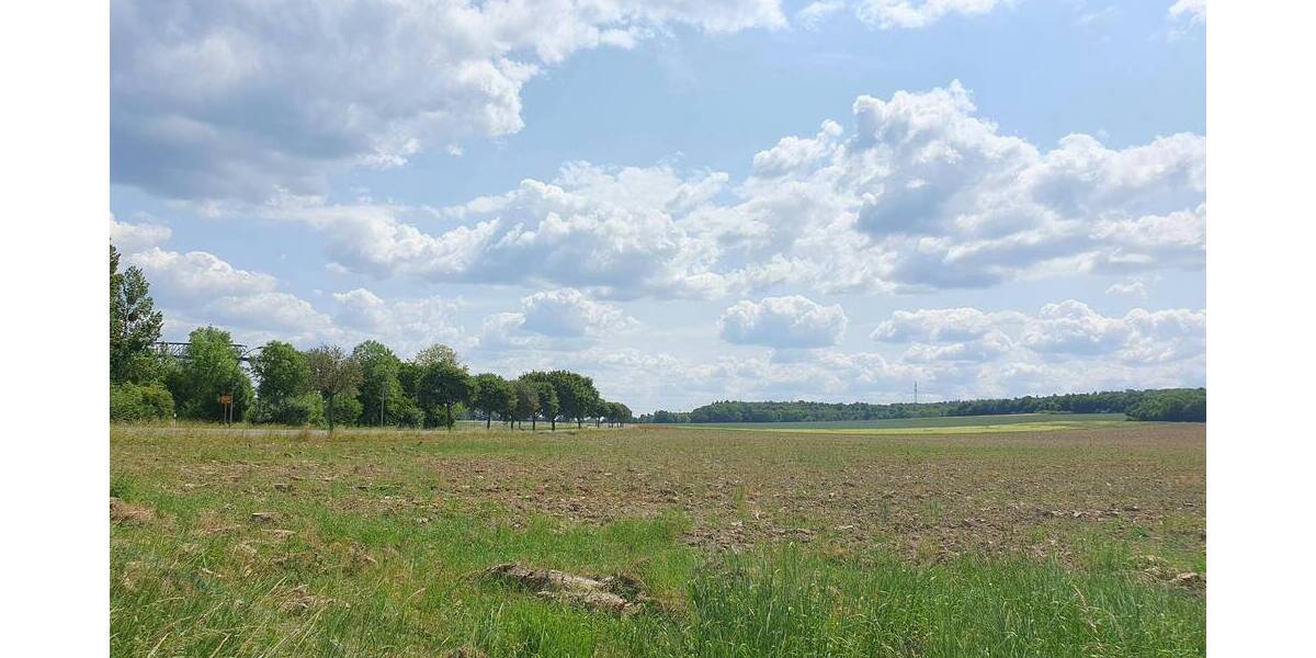 Einfamilienhaus Salzgitter Salder - 5 Zimmer, 144 m&sup2;, 367.050&euro; | Angebot:26903547