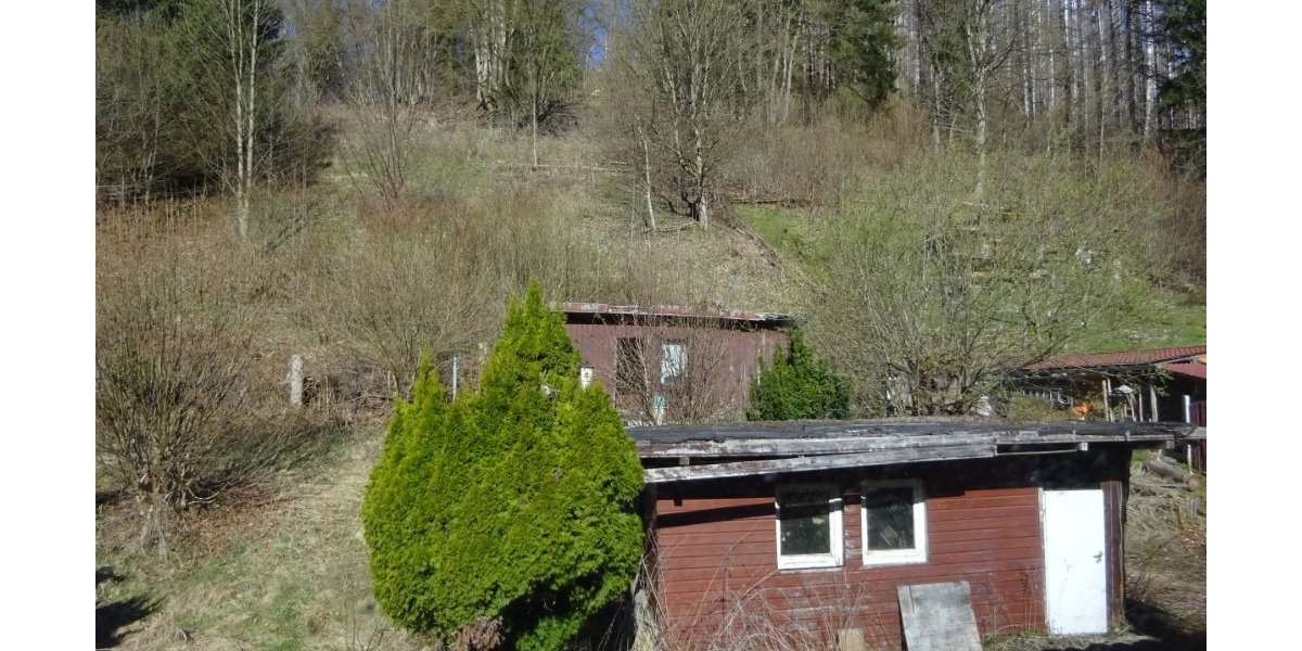 Gebotsverfahren: Einfamilienhaus in Sieber im Harz mit angrenzenden Mischwald - Einfamilienhaus Herzberg am Harz | Angebot:27248438
