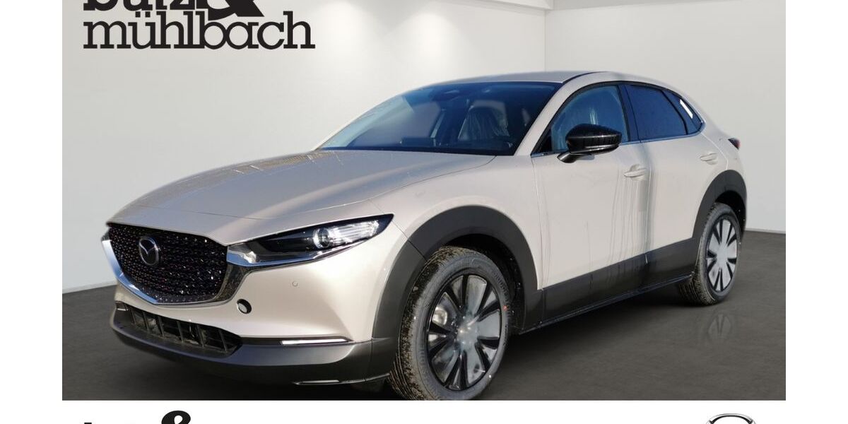 Mazda CX-30 1.999 km 28.990 &euro; Andernach 56626