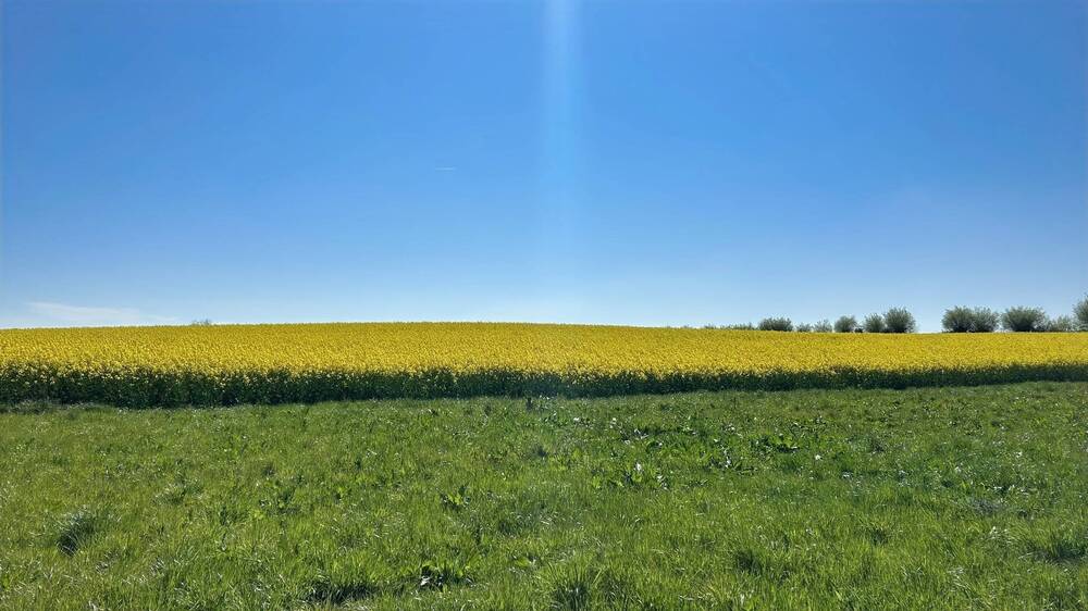 Grundstück Wohlenberg Wohlenberg - 469.000&euro; | Angebot:25731157