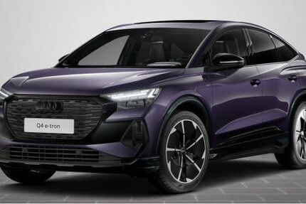 Audi Q4 e-tron 12.041 km 53.900 &euro; Ludwigshafen 67063