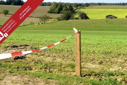 Grundstück in Bruchmühlbach-Miesau 345.420 € 28785 m² zimmer