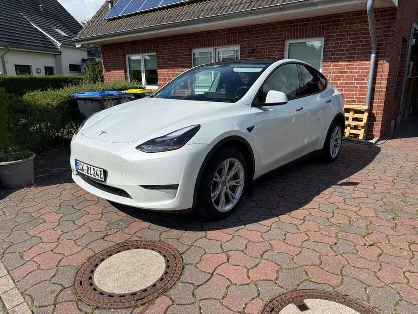 Model Y