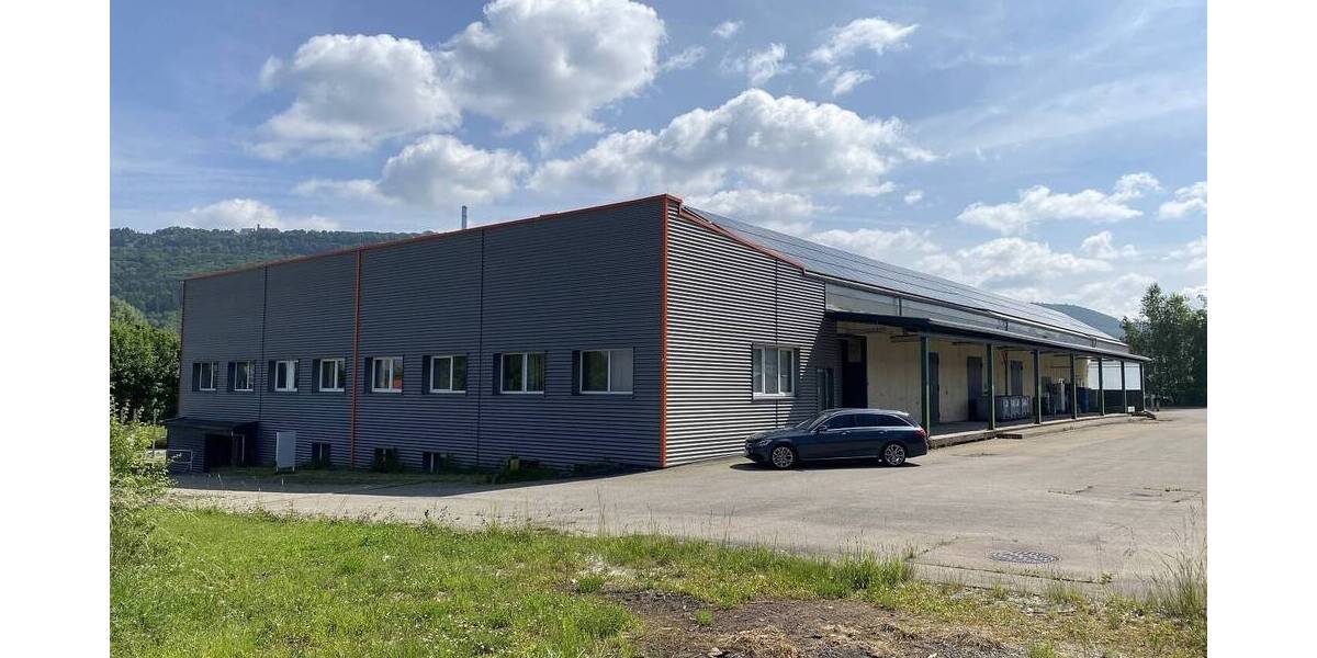 Gewerbeobjekt Spaichingen - 795.000&euro; | Angebot:25772116