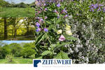 Grundstück Kolverath - 19.900&euro; | Angebot:25744798