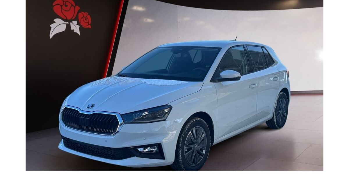 Skoda Fabia 6.506 km 24.889 &euro; Villingen-Schwenningen 78052