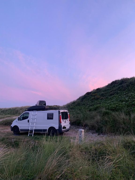 Vivaro