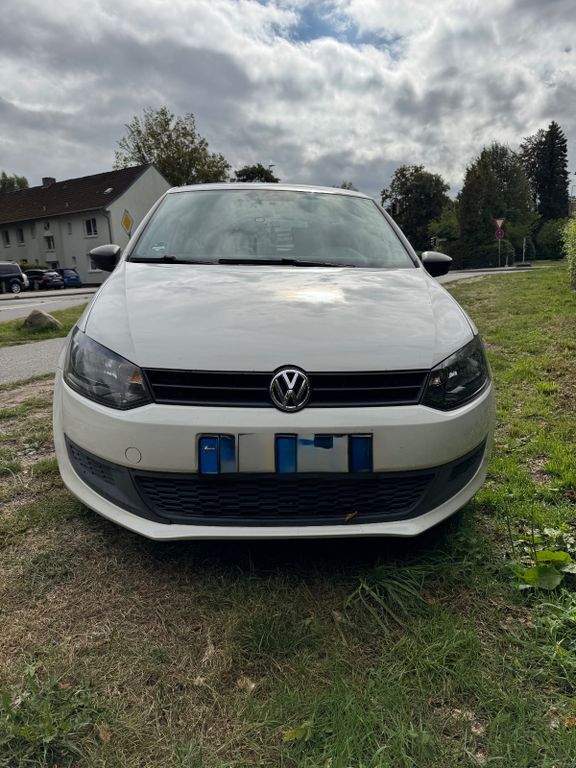 Polo