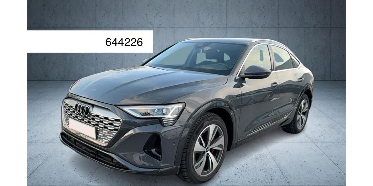 Audi Q8 44.100 km 40.950 &euro; Steinbach-Hallenberg OT Herges-Hallenberg 98587