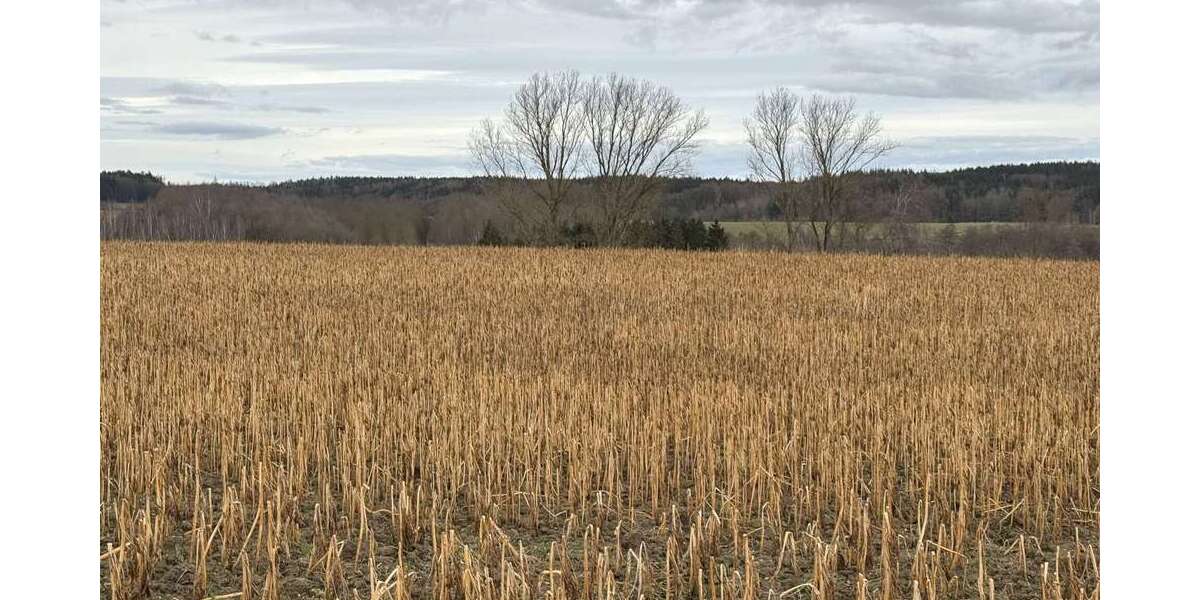 Grundstück Pfeffenhausen / Oberlauterbach Oberlauterbach - 472.032&euro; | Angebot:25252669