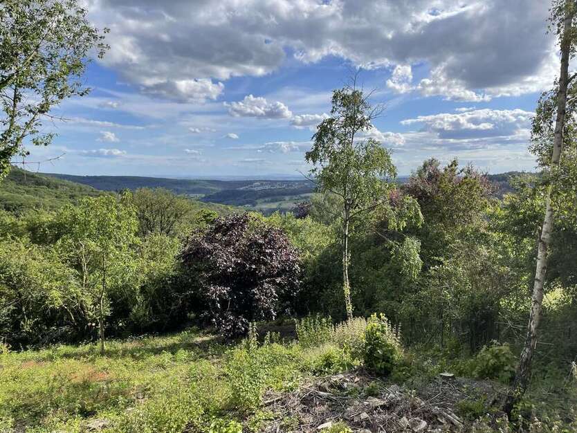 Grundstück zu verkaufen in Kelkheim 550.000 € 1526 m²
