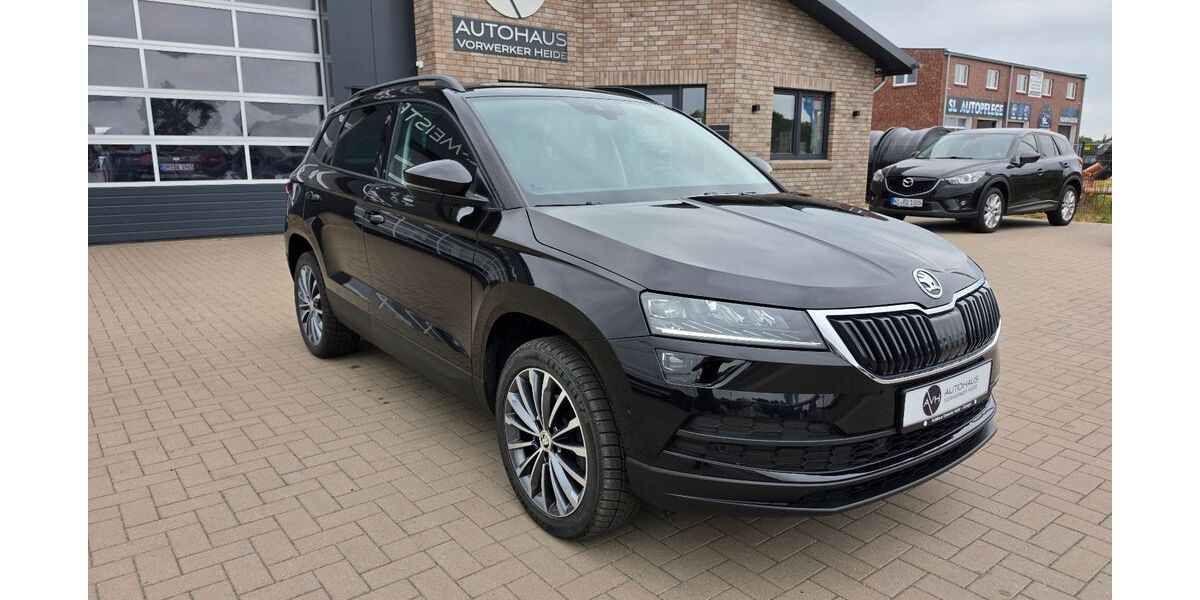 Skoda Karoq 99.890 km 18.690 &euro; Sulingen 27232
