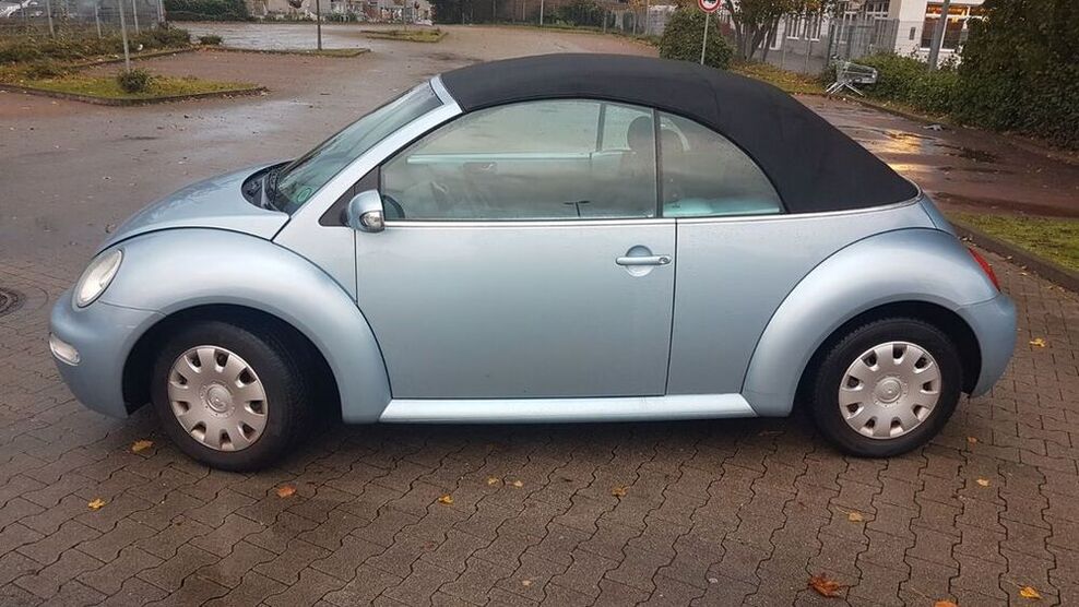 Beetle
