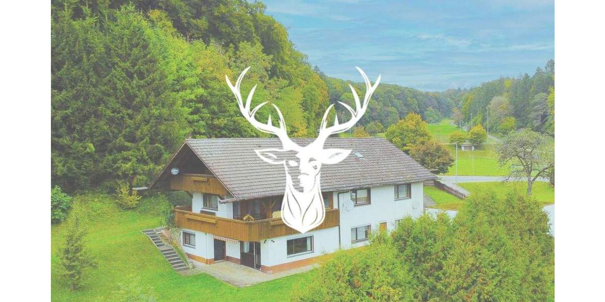 Mehrfamilienhaus, Wohnhaus Bonndorf im Schwarzwald Dillendorf - 1 Zimmer, 370 m&sup2;, 599.000&euro; | Angebot:24137482
