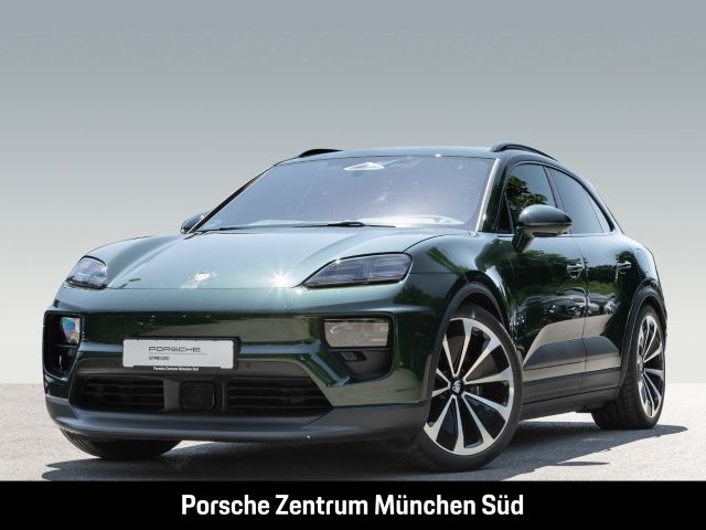 Macan
