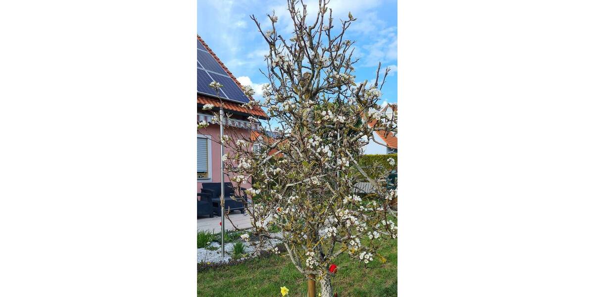 Einfamilienhaus Feuchtwangen - 5 Zimmer, 130 m&sup2;, 1.300&euro; | Angebot:26202280