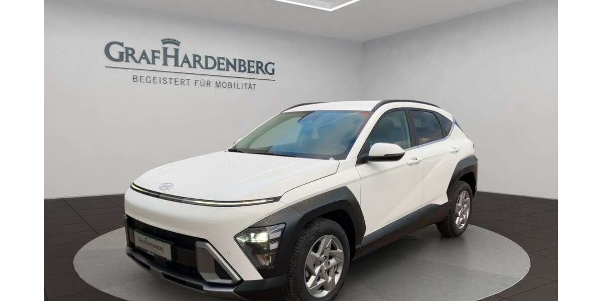 Hyundai KONA 6.049 km 25.490 € Landau 76829