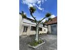 Gewerbeobjekt Uffenheim - 9 Zimmer, 347.000&euro; | Angebot:26805760