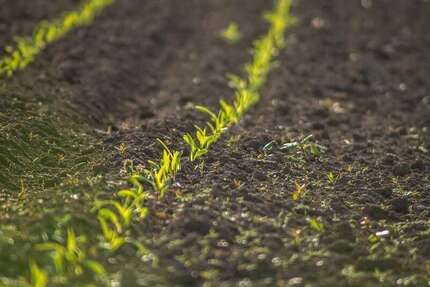 Grundstück Warmsen - 406.900&euro; | Angebot:25314529