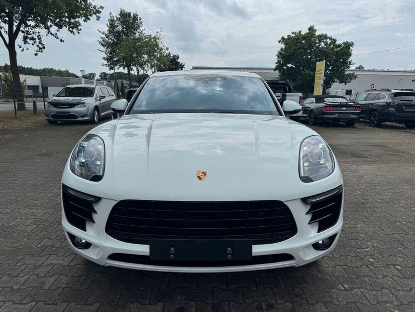 Macan