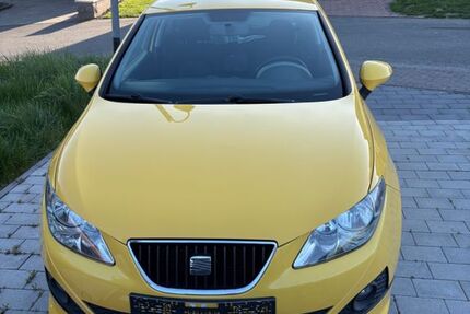Seat Ibiza 159.000 km 3.990 &euro; Unzenberg 55483