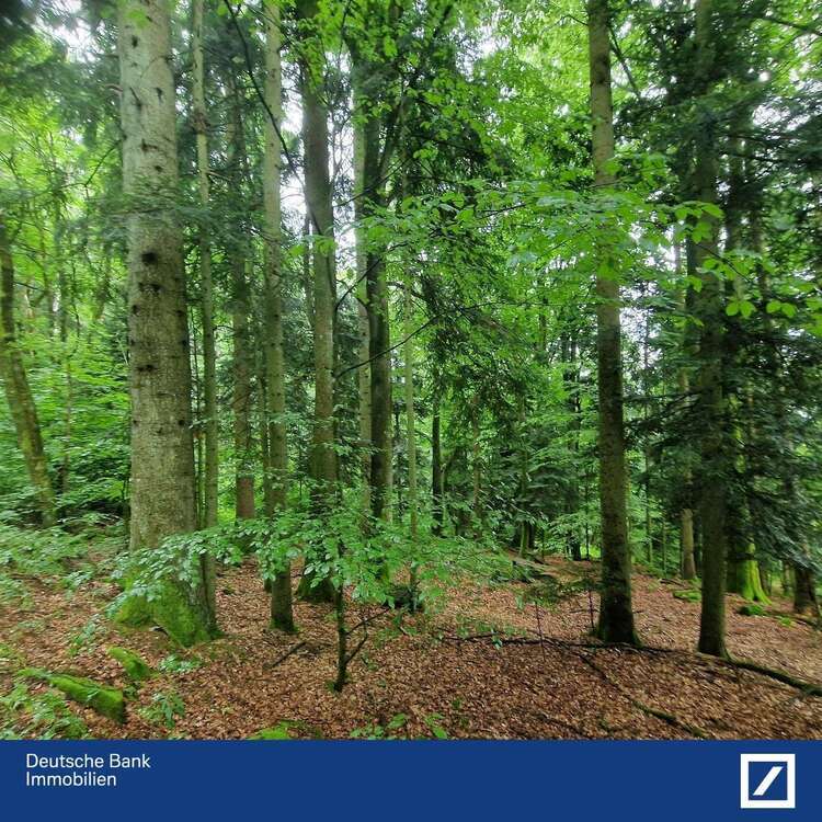 Grundstück in Schaufling 296.000 € 62908 m²