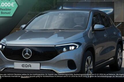 Mercedes-Benz EQA 22.452 km 39.490 &euro; Landau 76829