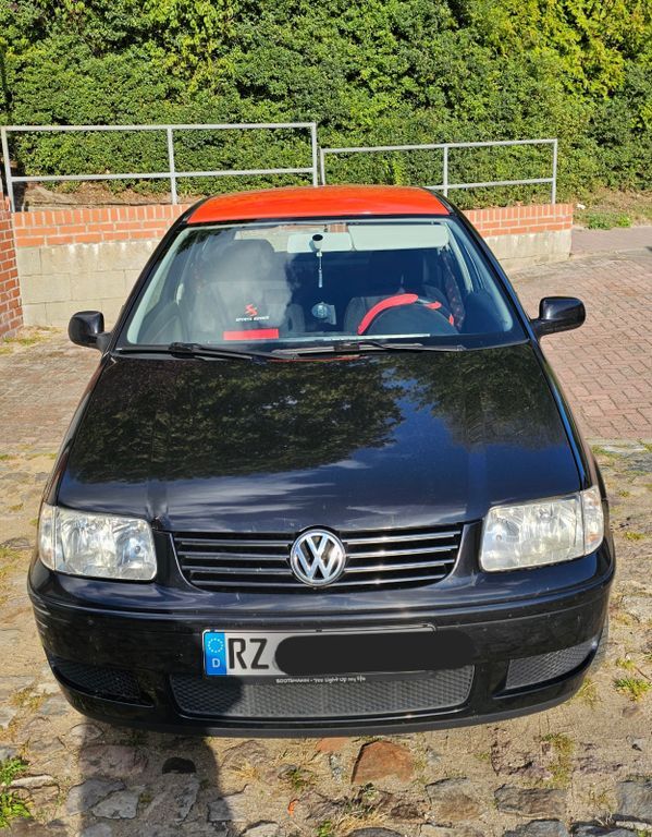 Polo