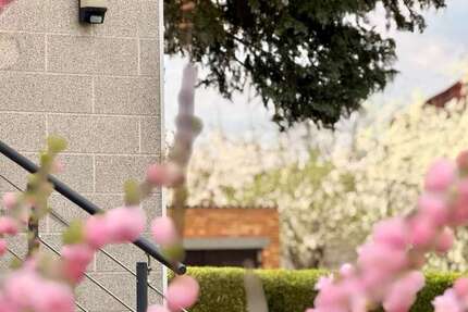 Haus Angermünde - 5 Zimmer, 130 m&sup2;, 235.000&euro; | Angebot:26286933