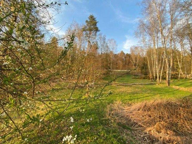 Grundstück Flossenbürg Altenhammer - 54.000&euro; | Angebot:25727289