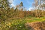 Grundstück Flossenbürg Altenhammer - 54.000&euro; | Angebot:25727289