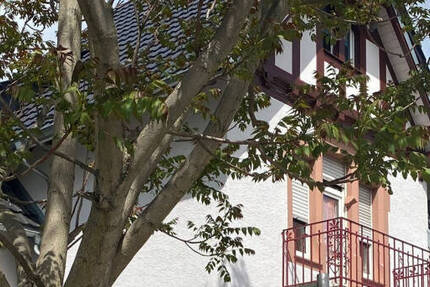 Gewerbeobjekt Bensheim Auerbach - 120&euro; | Angebot:26431763