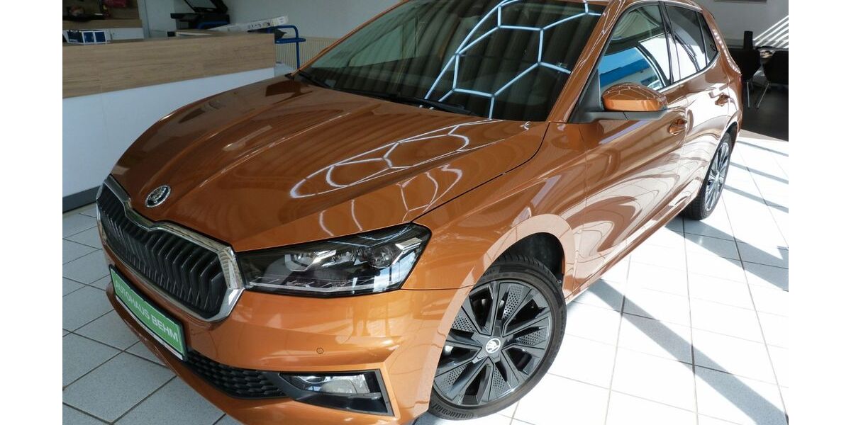 Skoda Fabia 26.230 km 18.950 &euro; Neubrandenburg 17033