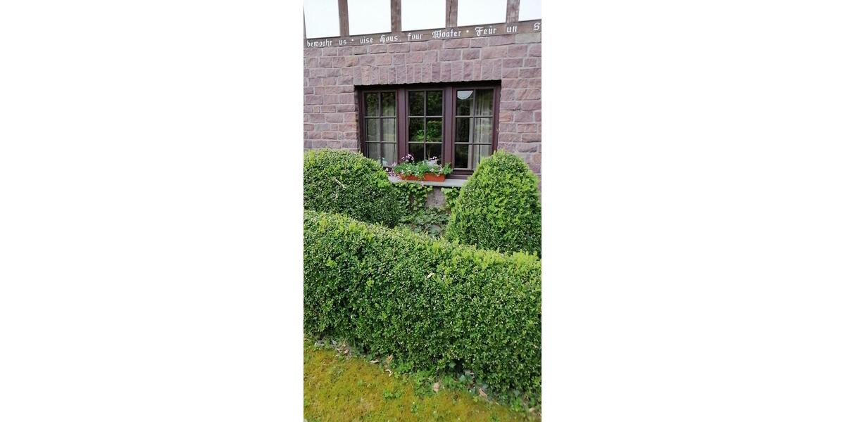 Mehrfamilienhaus, Wohnhaus Preußisch Oldendorf - 559.000&euro; | Angebot:26940590