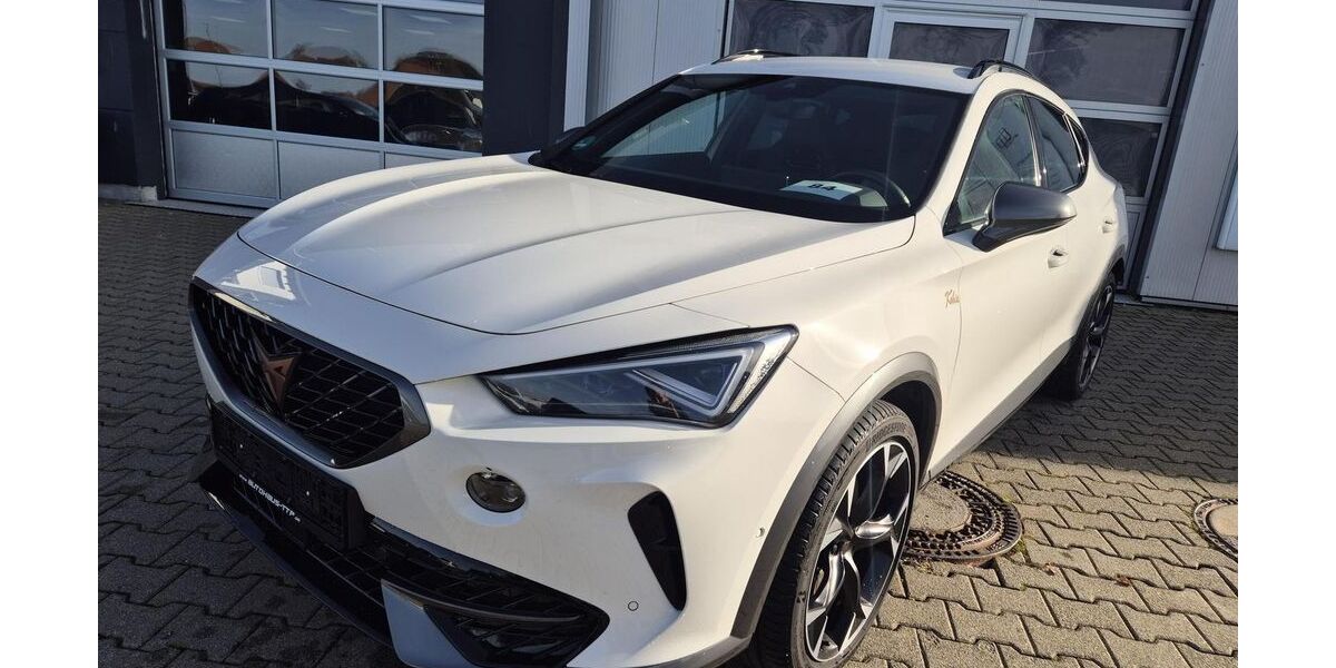 Cupra Formentor 31.000 km 29.790 € Heroldstatt 72535