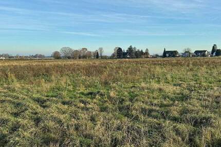 Grundstück Bornheim Merten - 225.000&euro; | Angebot:24270924