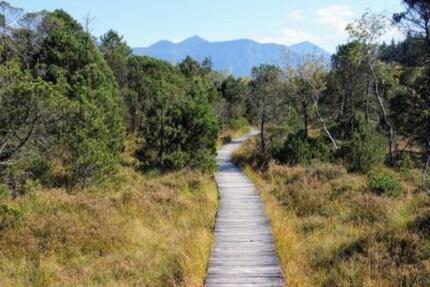 Haus Murnau am Staffelsee - 2.000&euro; | Angebot:24691377