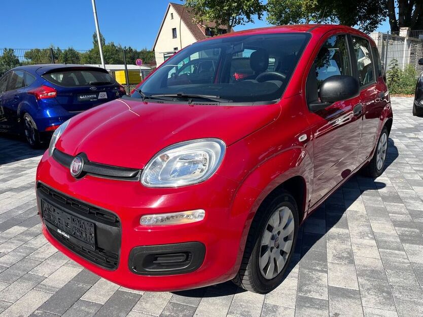 Panda