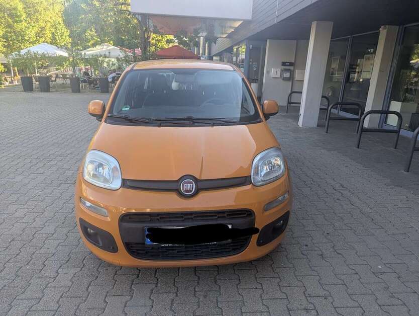 Panda
