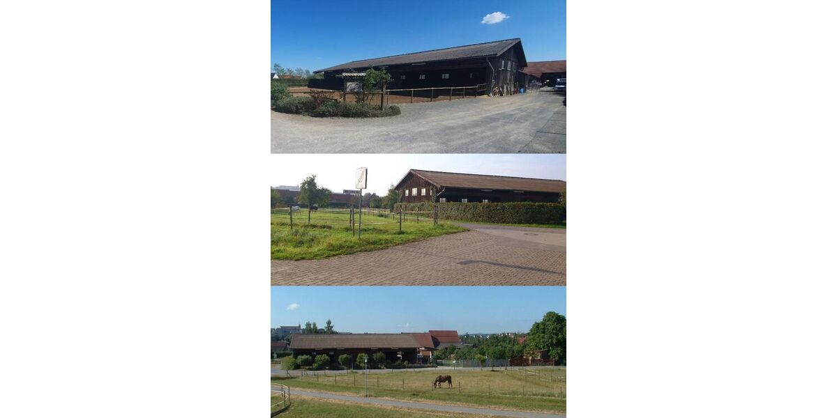 Attraktiver Reiterhof mit vielseitigem Nutzungspotenzial - Einfamilienhaus Bad Neustadt Brendlorenzen | Angebot:27054184