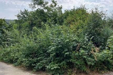 Grundstück Burbach - 63.000&euro; | Angebot:27505319