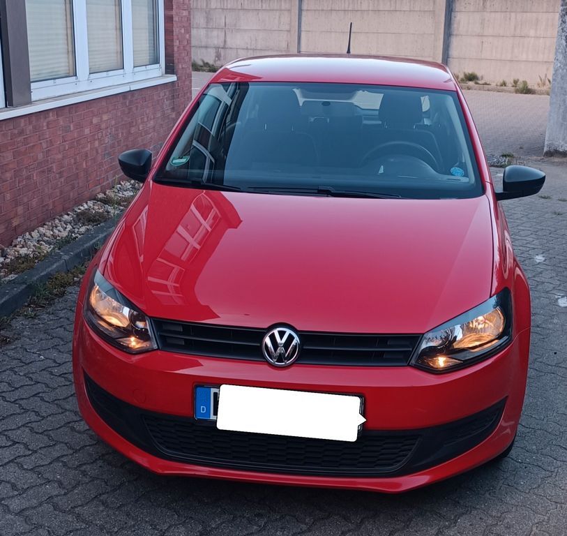 Polo