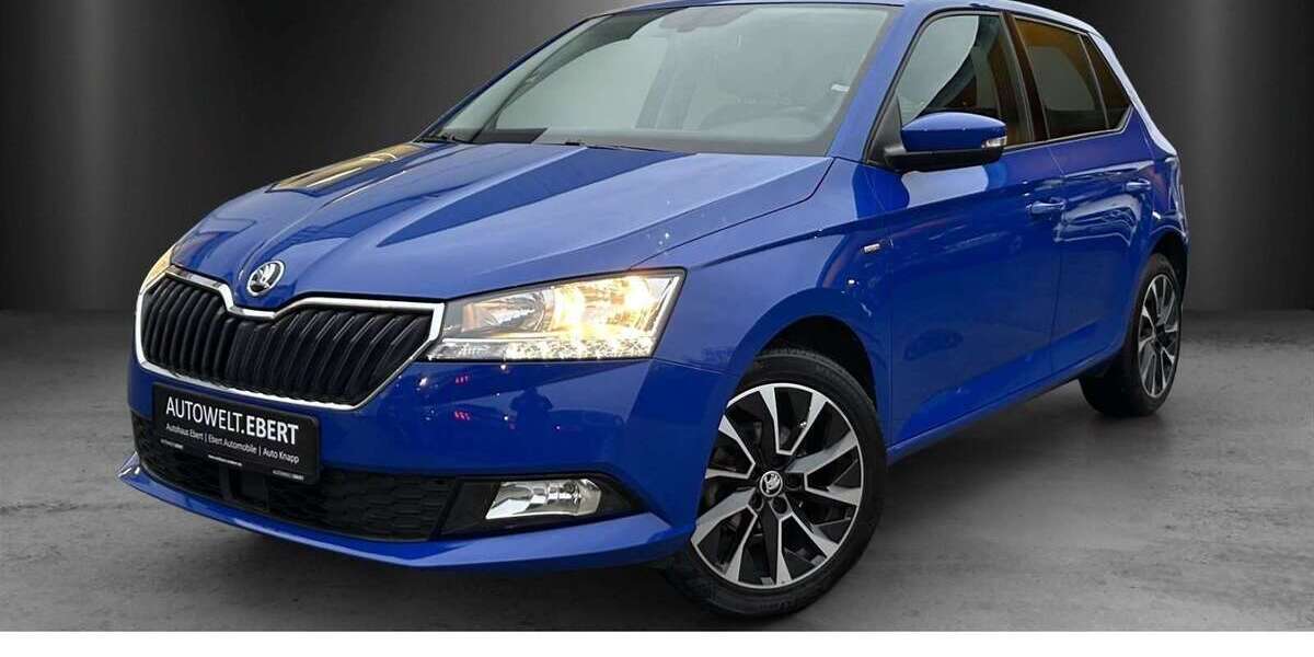 Skoda Fabia 42.600 km 12.690 &euro; Weinheim 69469